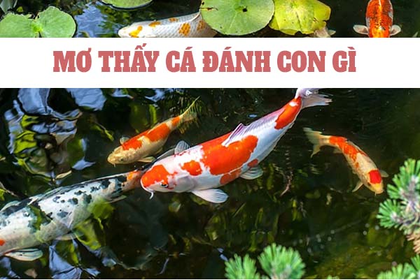 Cá số mấy? Nằm mơ thấy cá đánh con gì chọn số mấy may mắn 5