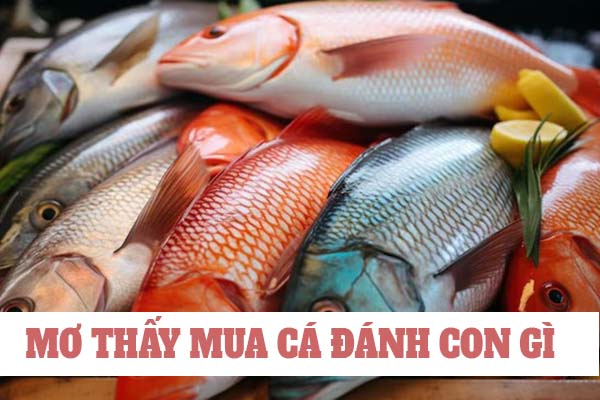 Mơ thấy mua cá đánh con gì? nên chọn số mấy