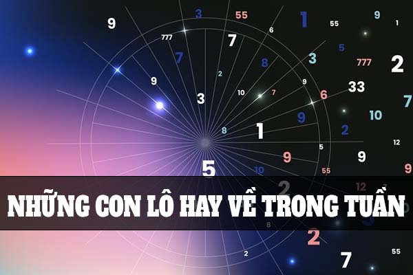 Thống kê những con lô hay về trong tuần có khả năng trúng cao