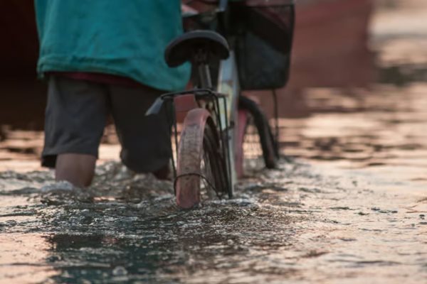 Nằm mơ thấy lội nước báo trước điều gì? Gợi ý con số may mắn liền kề 1 Nằm mơ thấy lội nước báo trước điều gì? Gợi ý con số may mắn liền kề 1