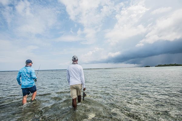 Nằm mơ thấy lội nước báo trước điều gì? Gợi ý con số may mắn liền kề 3 Nằm mơ thấy lội nước báo trước điều gì? Gợi ý con số may mắn liền kề 3