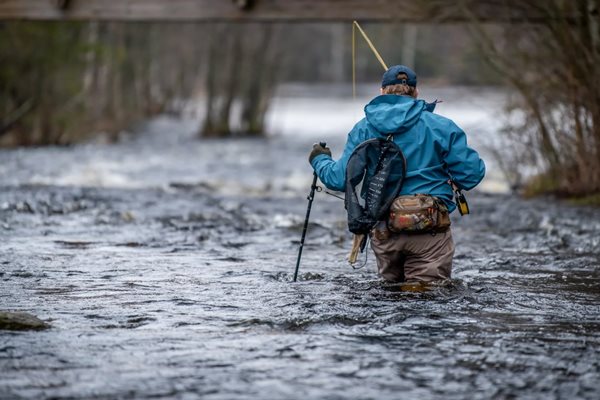 Nằm mơ thấy lội nước báo trước điều gì? Gợi ý con số may mắn liền kề 2 Nằm mơ thấy lội nước báo trước điều gì? Gợi ý con số may mắn liền kề 2